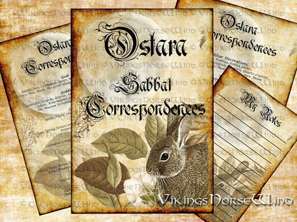 Witches Grimoire Pages Ostara Sabbat Correspondences, Printable Book of Shadows, 4 PDF PAGES, Pagan Wheel of The Year Witchcraft BOS Pages TheNorseWind