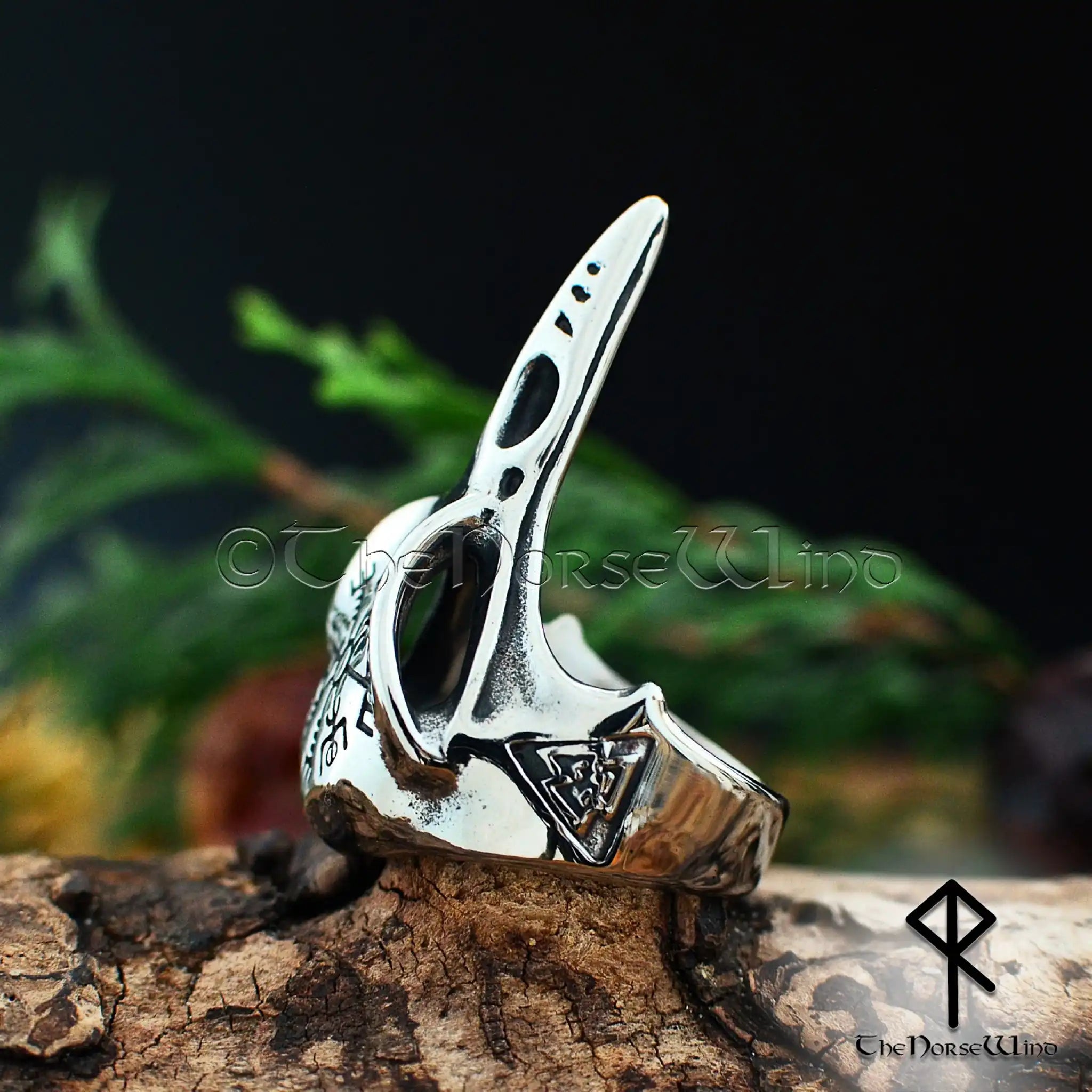 Viking Raven Skull Ring with Vegvisir & Valknut in Stainless Steel ...