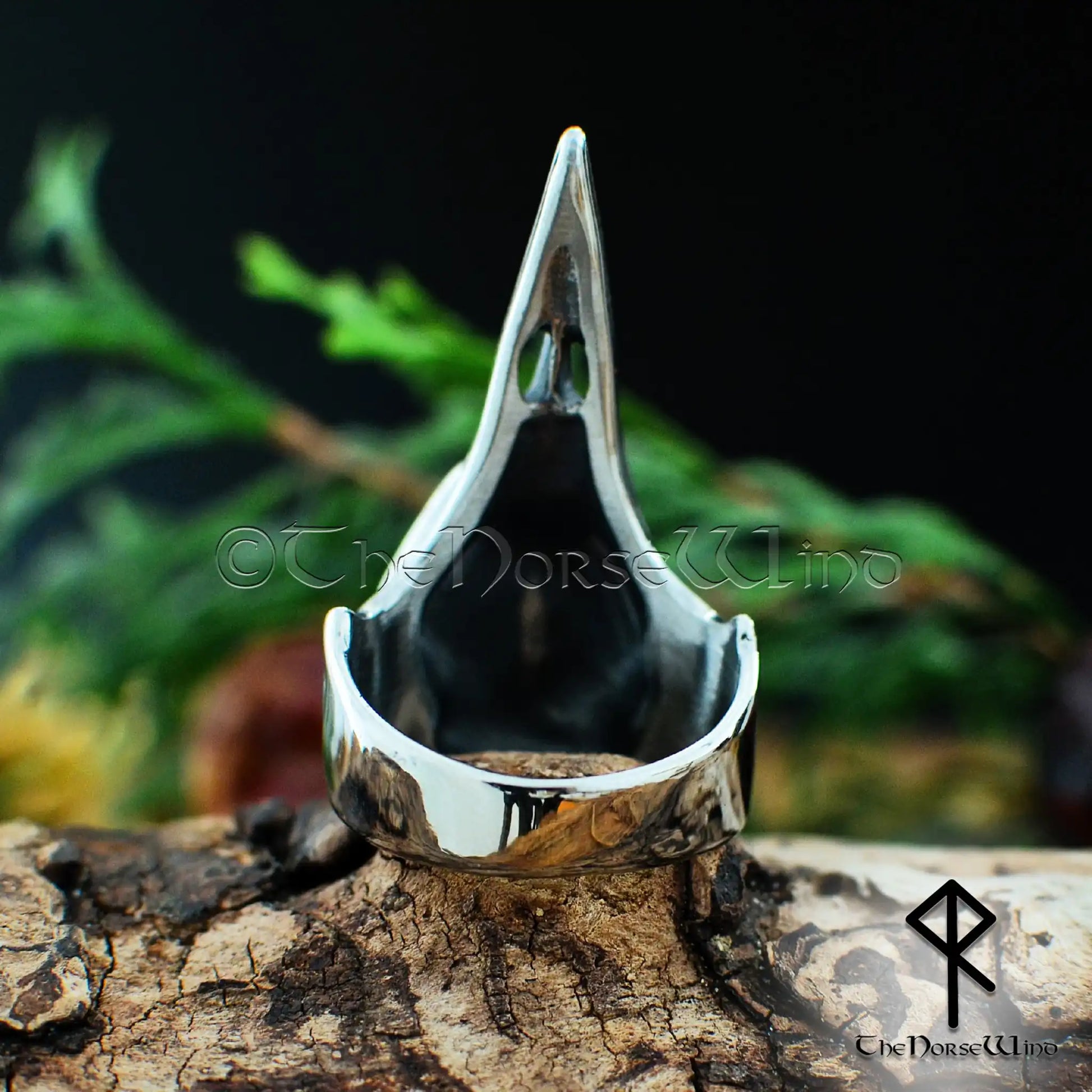 Viking Raven Skull Ring with Vegvisir & Valknut - Stainless Steel