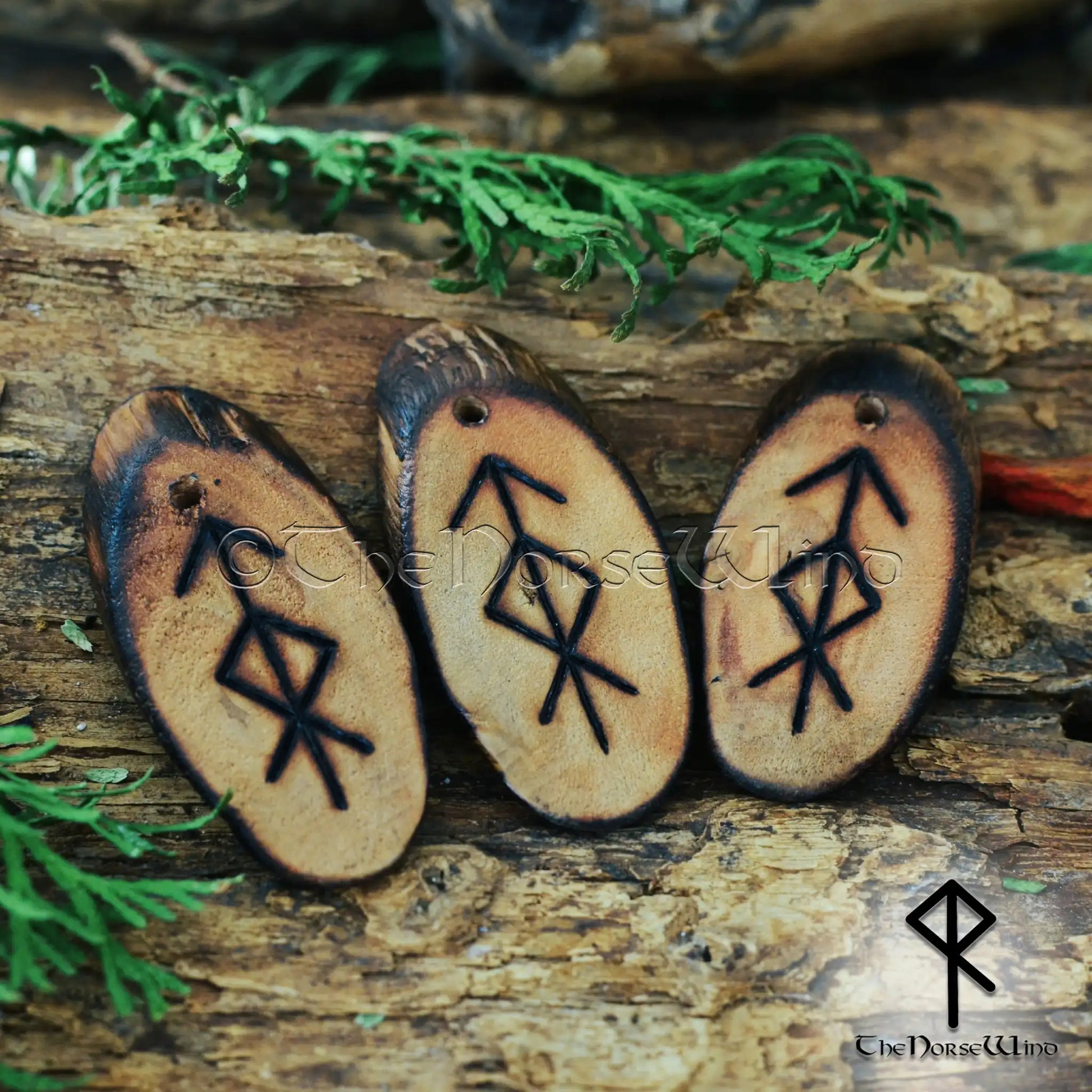 Norse Protection Rune