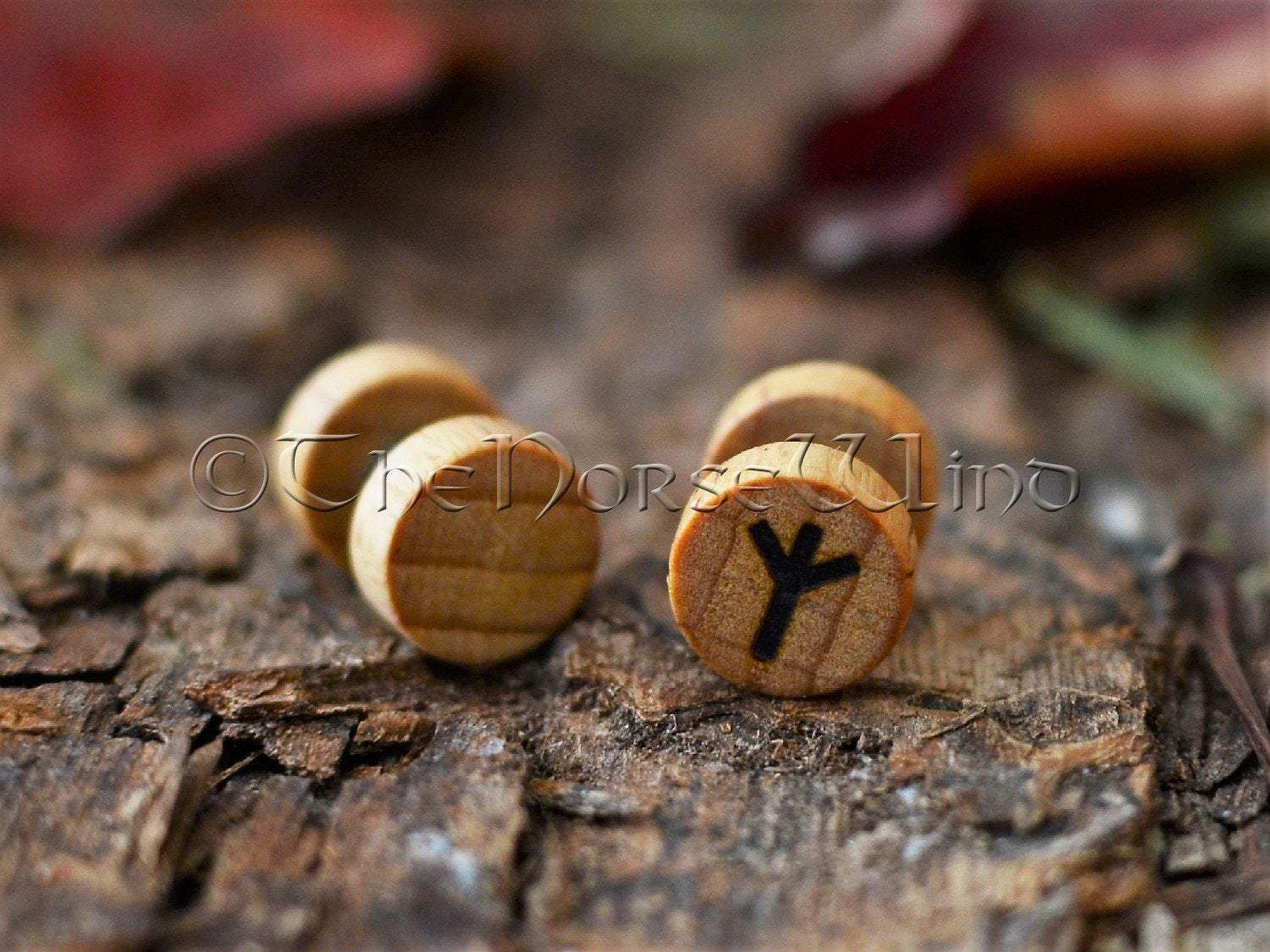 Viking Runes Earrings | Wooden Ear Plugs | Rune Gauges - TheNorseWind